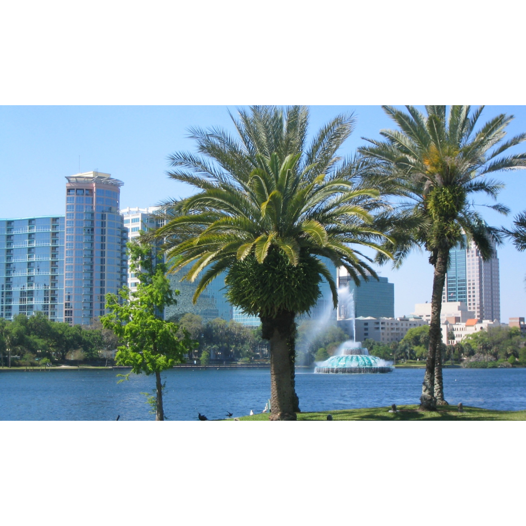 Palm trees in the beachside view in Orlando, Florida