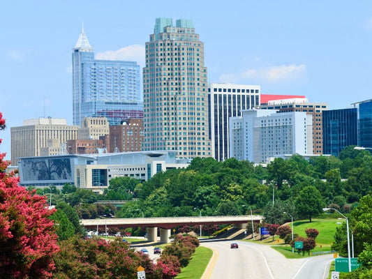 Moving to Raleigh: Ultimate Guide for Professionals, Families & New Residents