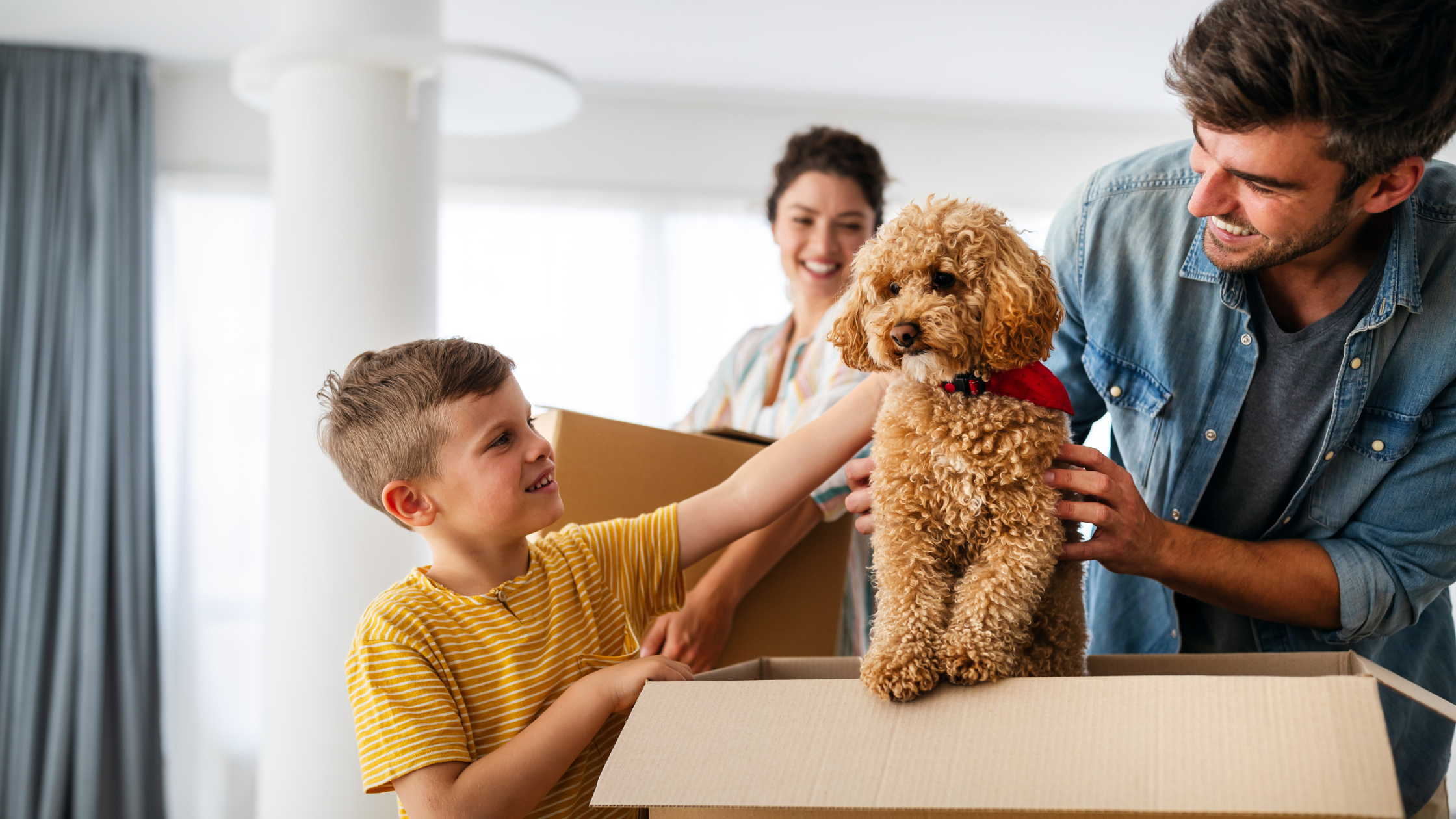 Moving with Pets: Complete Guide for a Stress-Free Relocation