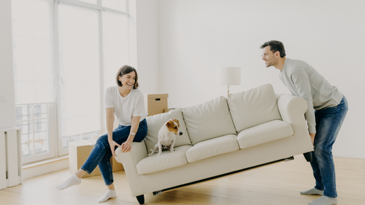 A family moving their white couch with a beagle sitting on the couch