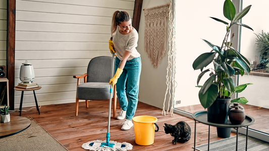 How to clean a big house - quickly and easily!